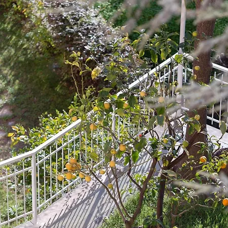 Apartment 114b - Casa Luna Vista Mare, 5 Minuti Dalla A Piedi - Parcheggio Privato Gratis Incluso *
